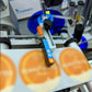 Skyone-030-65D Automatic Top & Side Bottle Labeling Machine